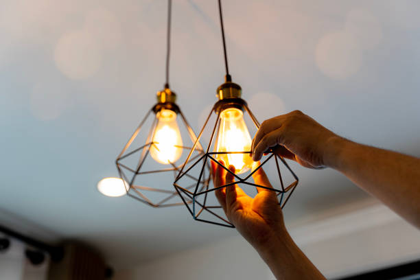 Best Electric Panel Repair  in River Grove, IL